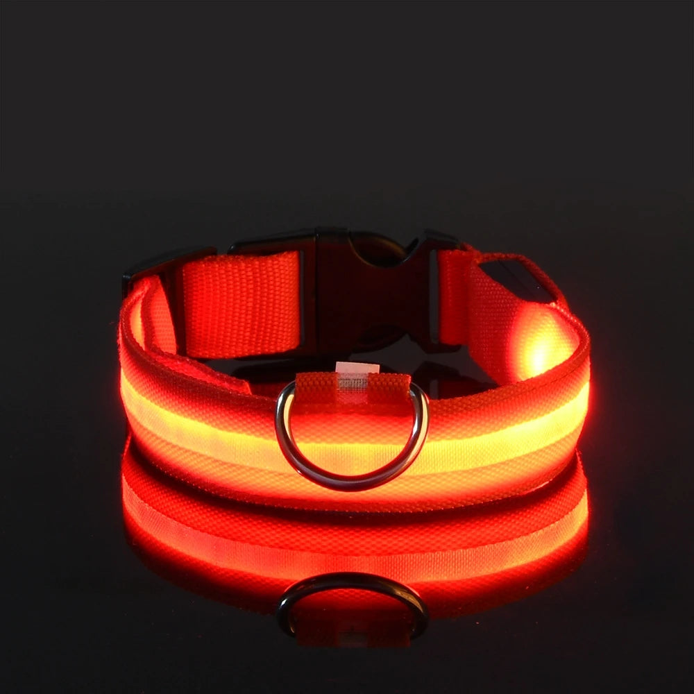 GiraPet LED – Coleira e Trela Fluorescente para Cães