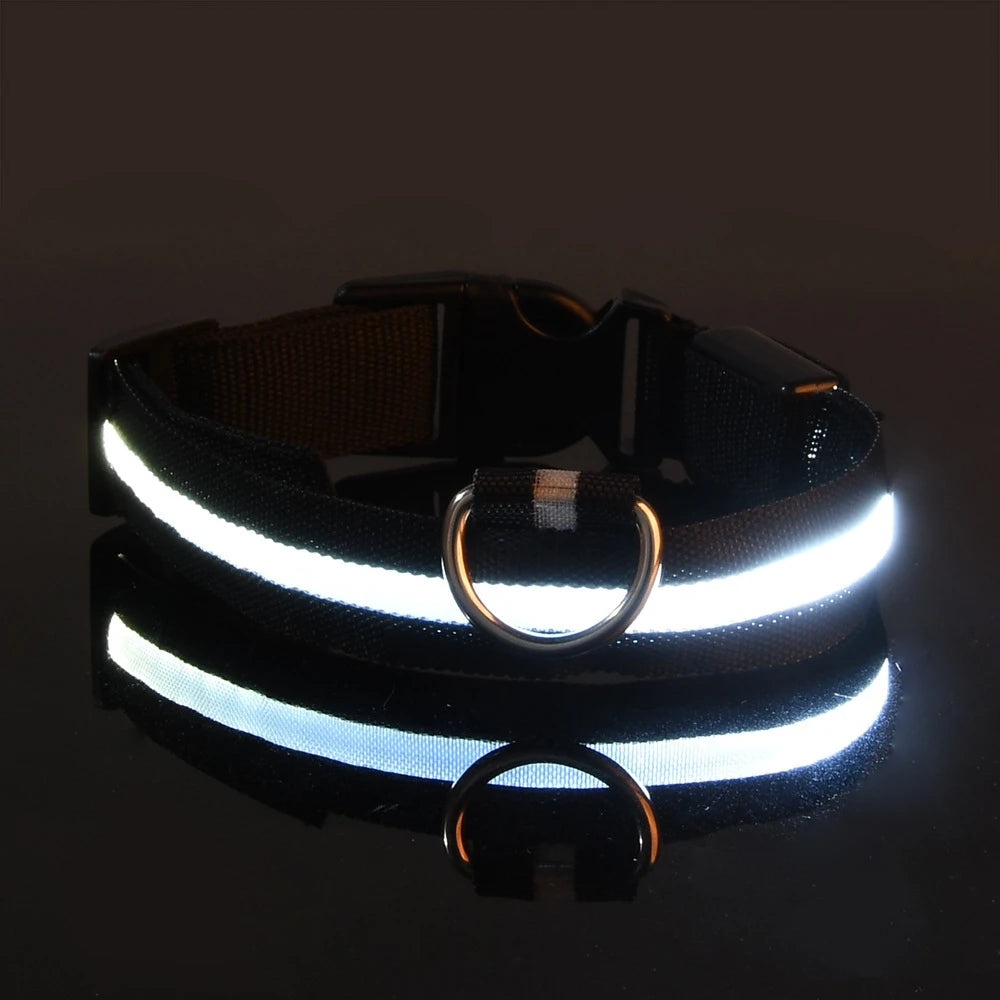 GiraPet LED – Coleira e Trela Fluorescente para Cães