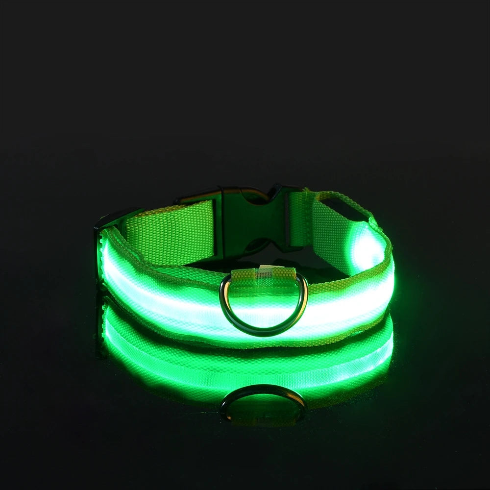 GiraPet LED – Coleira e Trela Fluorescente para Cães