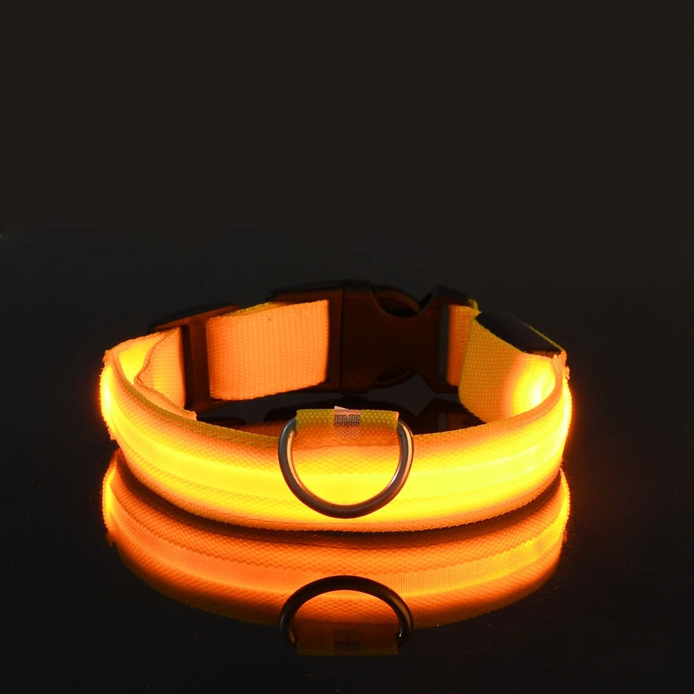 GiraPet LED – Coleira e Trela Fluorescente para Cães