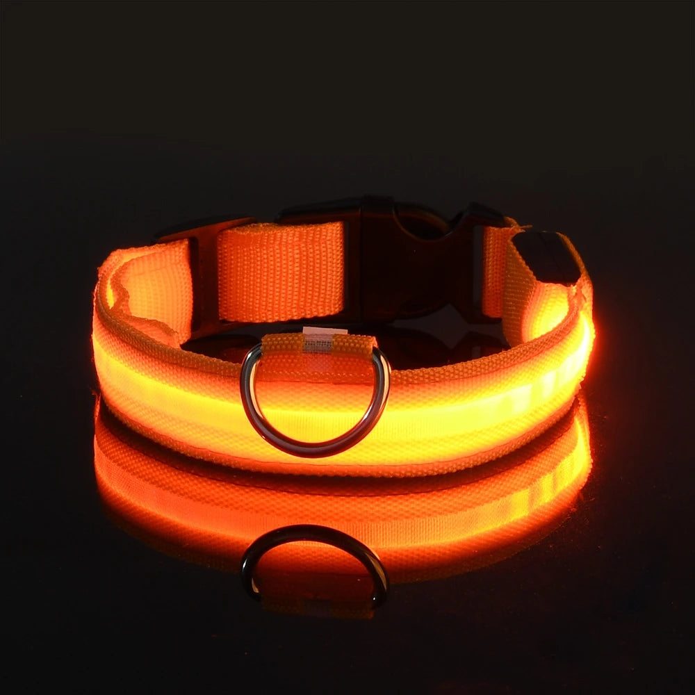 GiraPet LED – Coleira e Trela Fluorescente para Cães