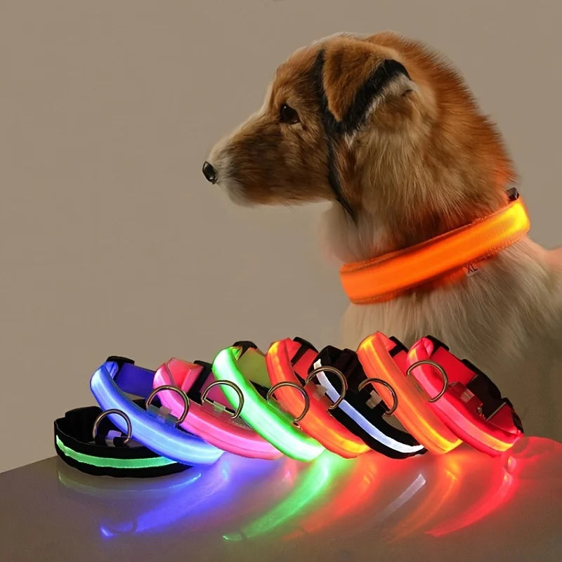 GiraPet LED – Coleira e Trela Fluorescente para Cães