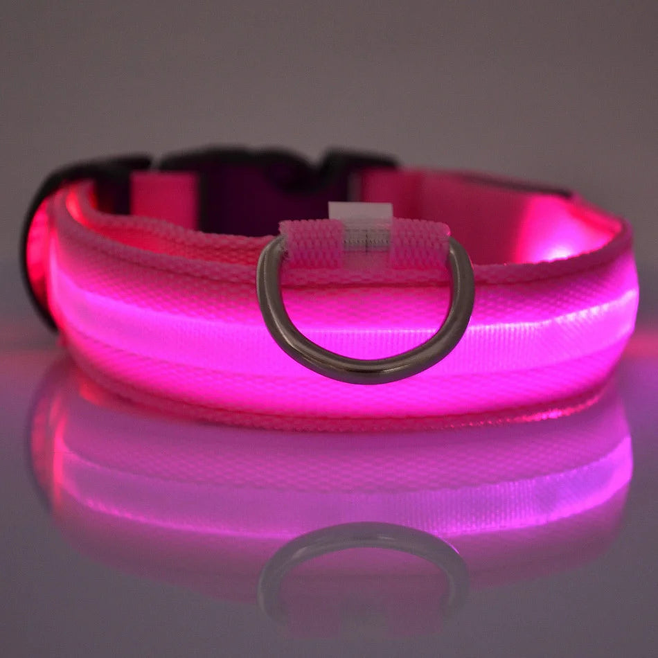 GiraPet LED – Coleira e Trela Fluorescente para Cães
