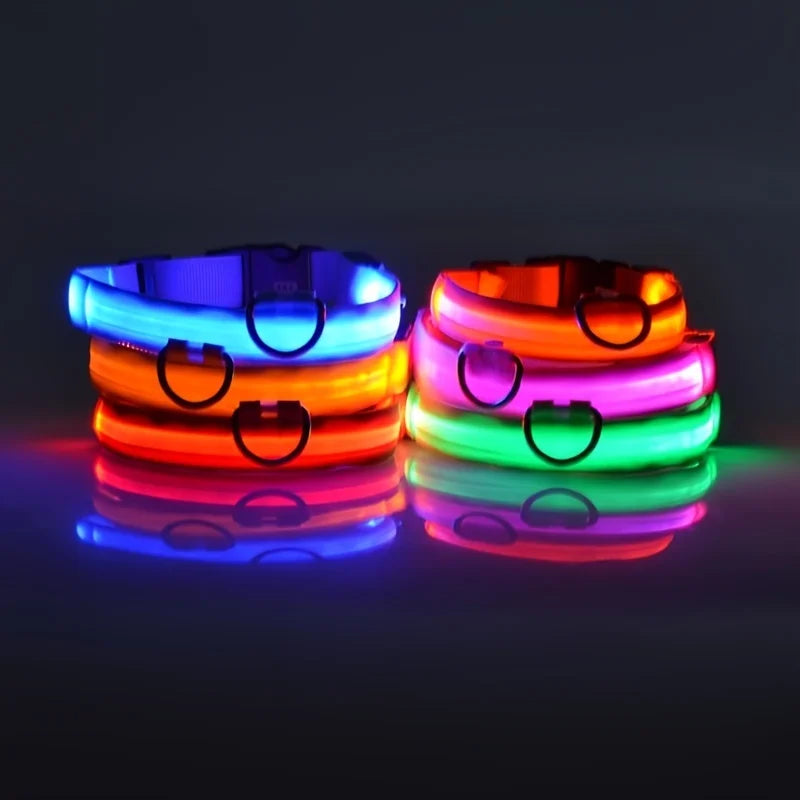 GiraPet LED – Coleira e Trela Fluorescente para Cães