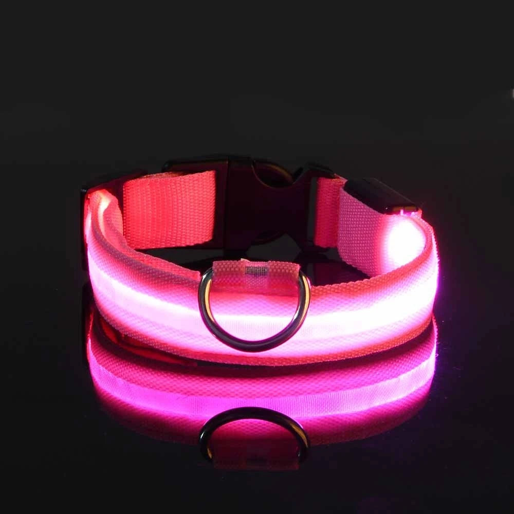 GiraPet LED – Coleira e Trela Fluorescente para Cães