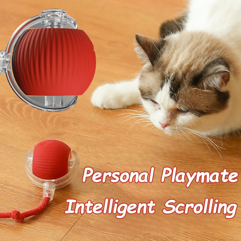 Bola Interativa Inteligente para Gatos e Cães – Rola Sozinha com Cauda de Rato!