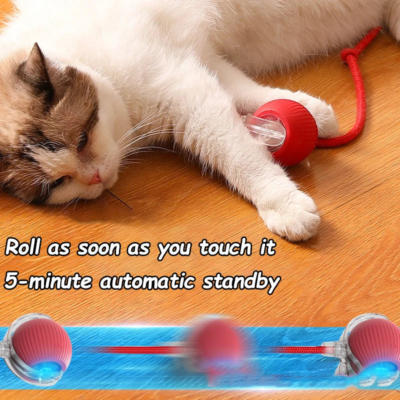 Bola Interativa Inteligente para Gatos e Cães – Rola Sozinha com Cauda de Rato!