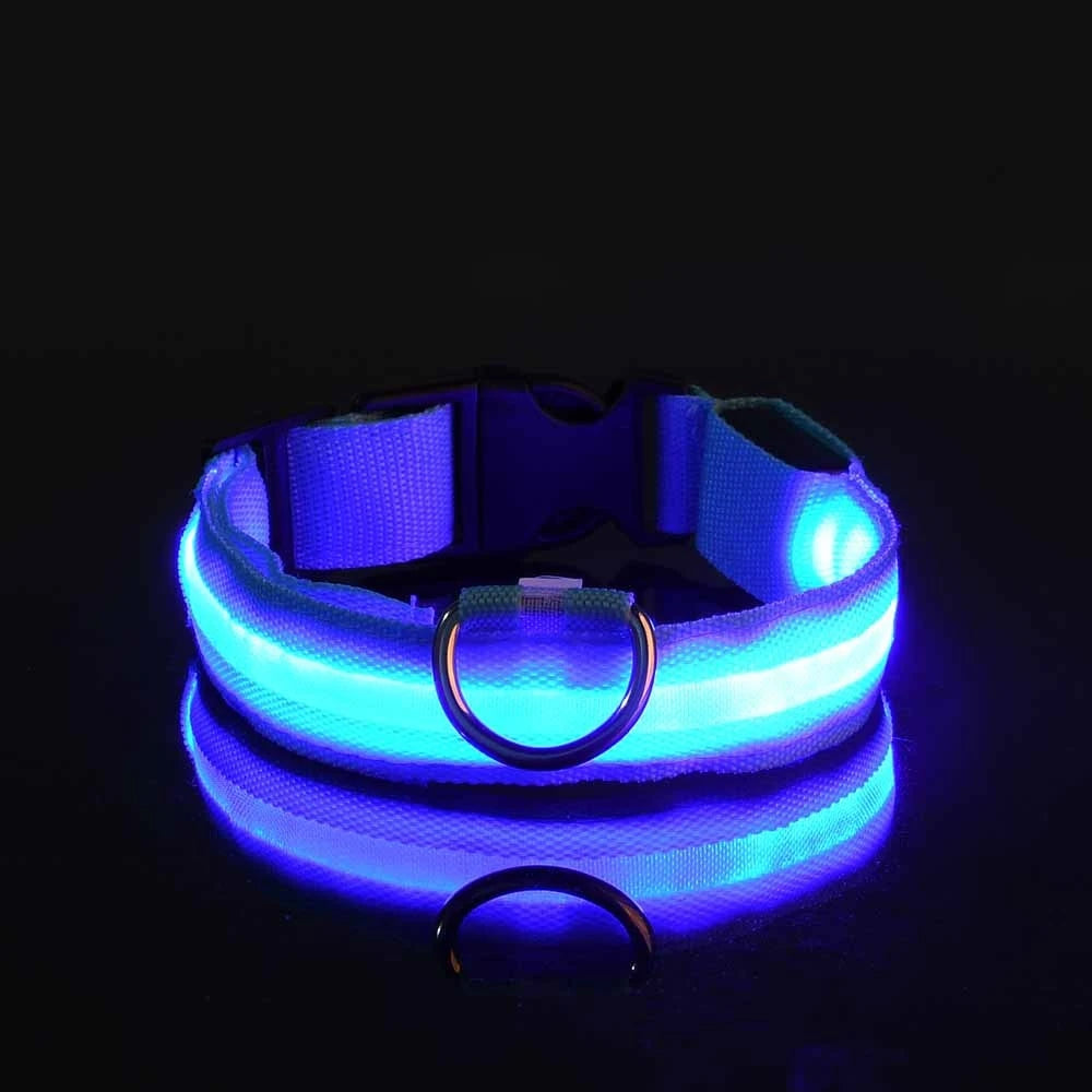 GiraPet LED – Coleira e Trela Fluorescente para Cães