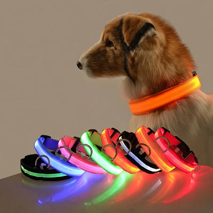 GiraPet LED – Coleira e Trela Fluorescente para Cães