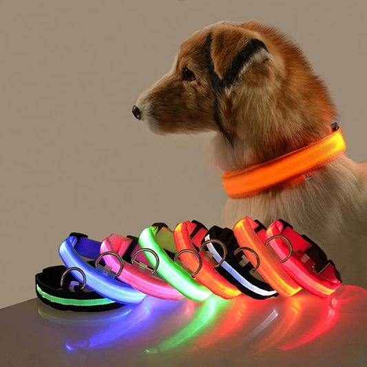 GiraPet LED – Coleira e Trela Fluorescente para Cães