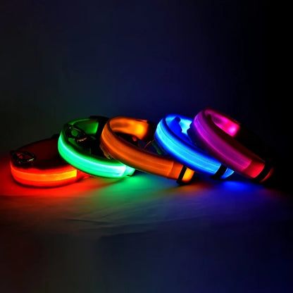 GiraPet LED – Coleira e Trela Fluorescente para Cães